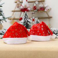 Gold And Silver Snowflake Short Plush Christmas Hat Set Of 2