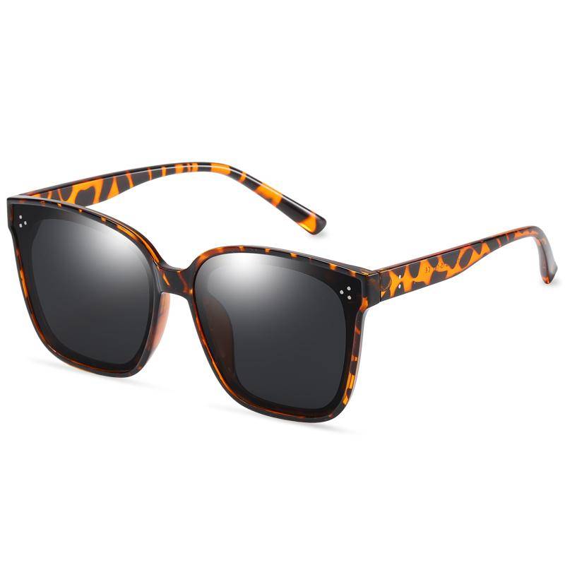 TORTOISE/BLACK