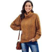 Women's Chunky Turtleneck Sweater
